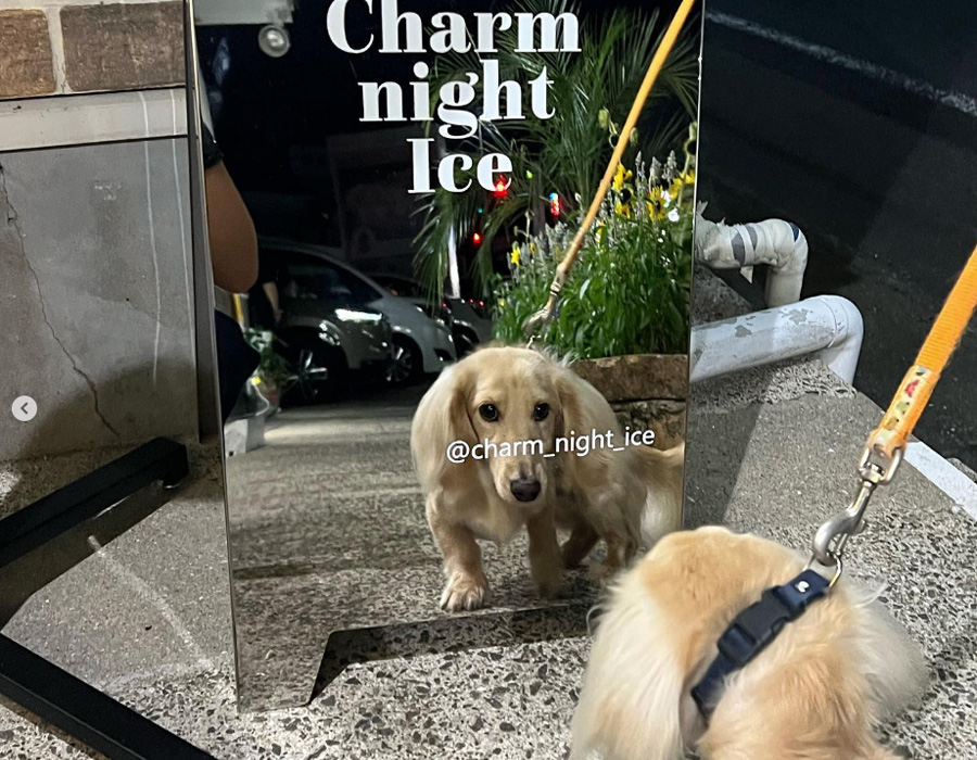 長崎 アイスクリーム Charm night Ice(チャームナイトアイス